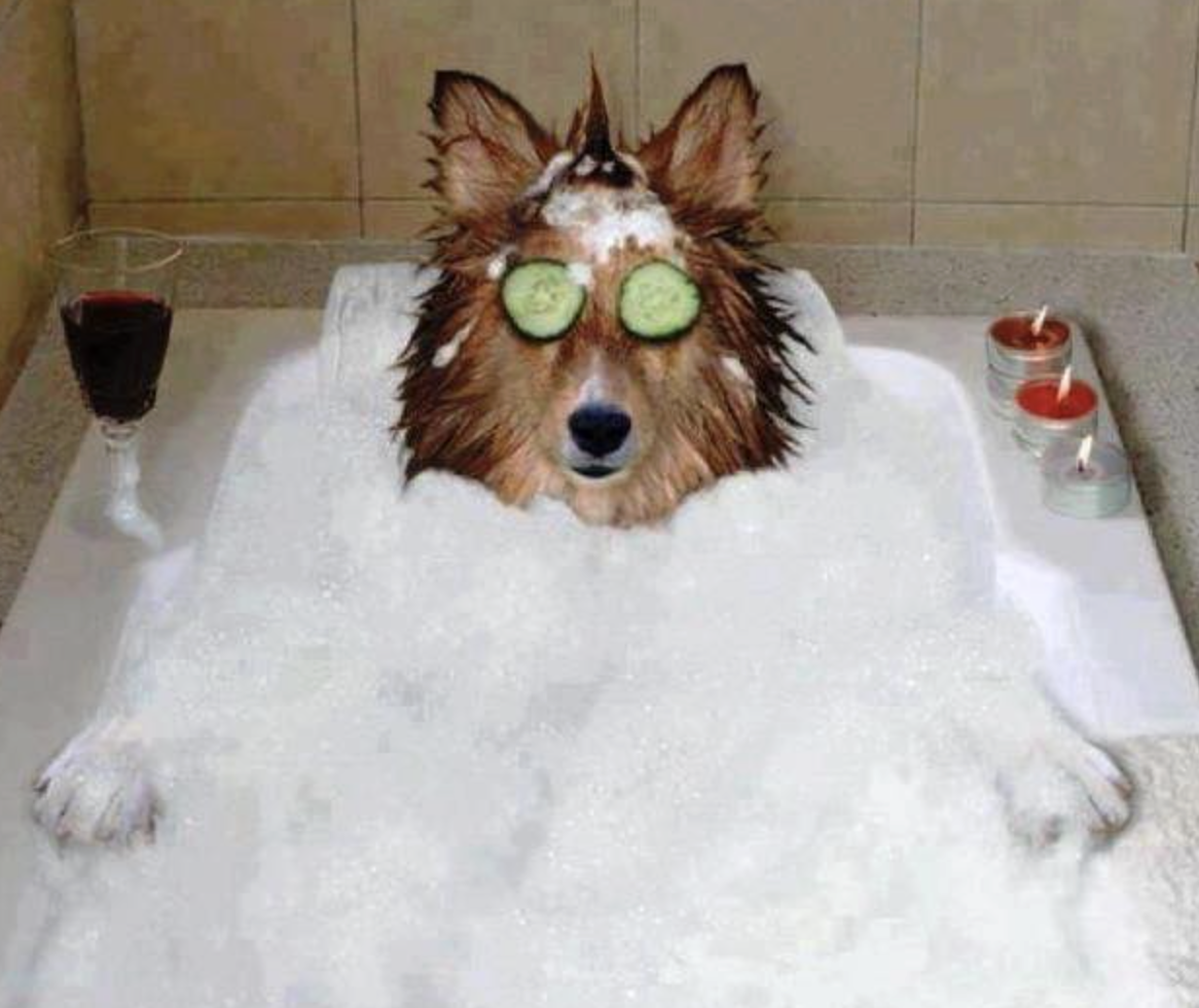 Grooms By Kim, professional hair styling