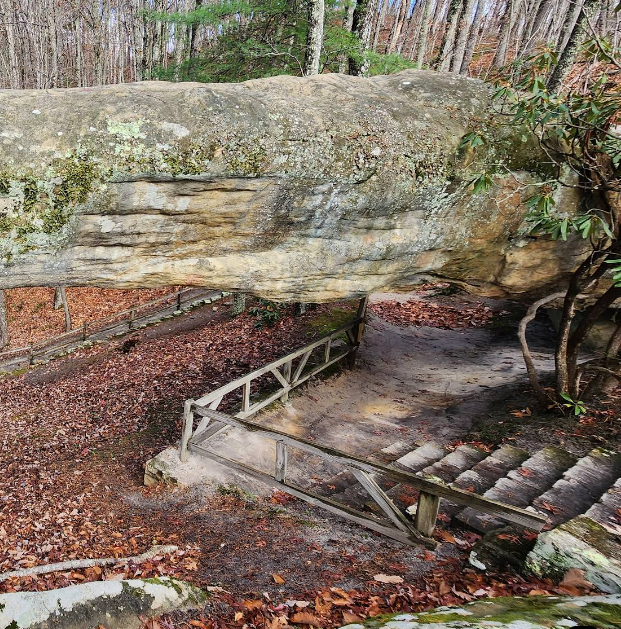 Ride the fastest zipline in North America across the ridges of Kentucky’s tallest mountain!