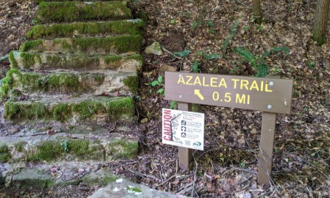 Azalea Trail