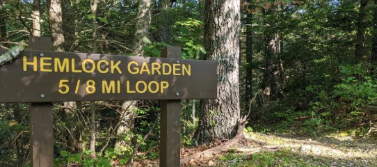 Hemlock Garden Trail