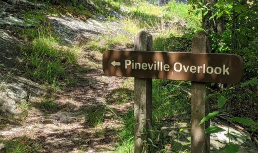 Pineville Overlook Trail